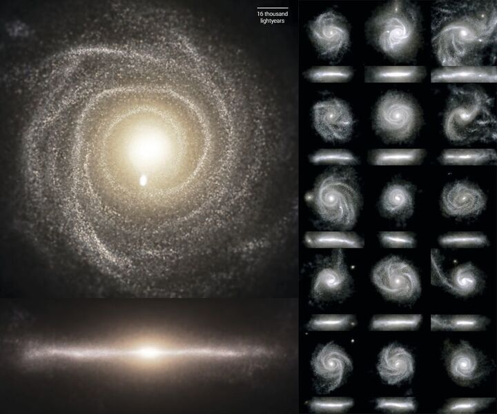 Simulierte Bilder von Scheibengalaxien aus der TNG50-Simulation im sichtbaren Licht. Jede Galaxie ist einmal in Draufsicht und einmal von der Seite gezeigt. Mit TNG50 konnten neue Erkenntnisse dazu gewonnen werden, wie solche Scheibengalaxien entstehen. (D. Nelson (MPA) und das Illustris-TNG-Team)