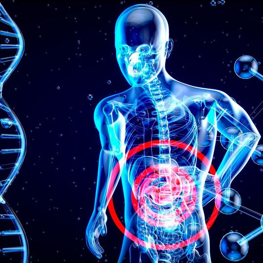 Chronic pain from internal organs, such as the gut or bladder, is notoriously difficult to treat. Chronic pain from internal organs, such as the gut or bladder, is notoriously difficult to treat.