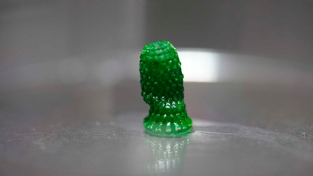 ETH-Forschende entwickeln CO2-absorbierendes, lebendes Material