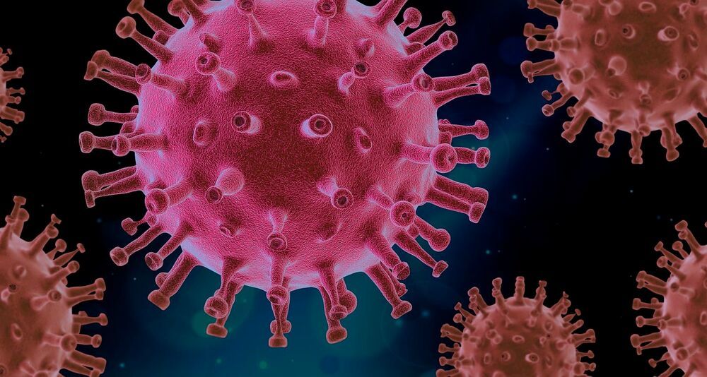 Uncovering Ushikuvirus: The Giant DNA Virus that Influenced Evolution