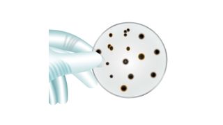 Die schnelle Diagnose ist ein entscheidender Faktor im Kampf gegen Krankheiten wie die Tuberkulose (Symbolbild). (Bild: ©Gabriele Rohde - stock.adobe.com)