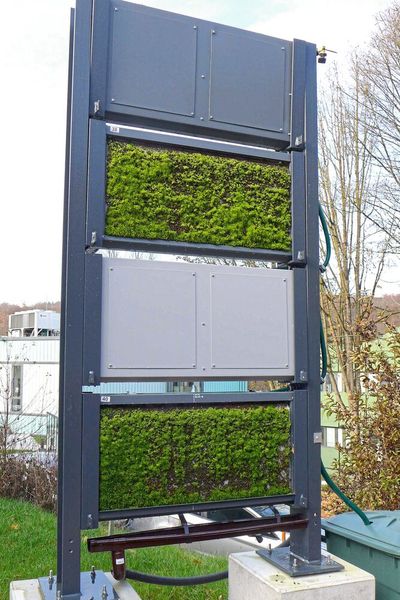 Auf natürliche Weise sollen solche Moos-Wände die Stäube einfangen und binden, um sie zuletzt sogar „aufzufressen“. Auch dieses Projekt will in Stuttgart die Wirkung erproben. (Bild: DITF)