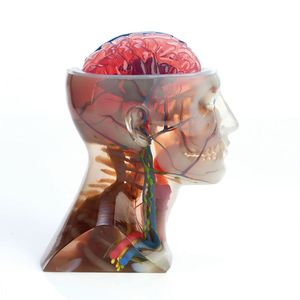 Die 3D-Drucker J750 von Stratasys besitzen die einzigartige Fähigkeit, den Vollfarb-3D-Druck mit mehreren Materialien zu kombinieren. Dies ist ein Durchbruch für die Industrie, da komplexe, zeitaufwändige Prozesse entfallen und Ideenfindung, Produktdesign, Bewertung, Entscheidungen und Auslieferung enorm beschleunigt werden.