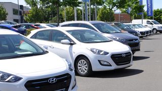 45071237 (Foto: Wehner)