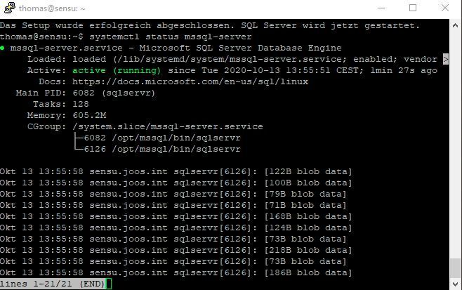 Überprüfen des SQL-Server-Dienstes auf Linux. (Joos (Screenshot))