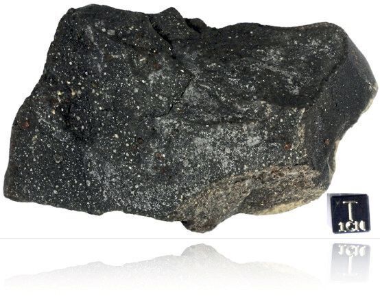 Probe des Murchison-Meteoriten (Field Museum, Chicago)