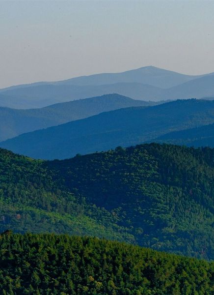  (Bild: Analog Devices; © MARC MEINAU _ stock.adobe.com)