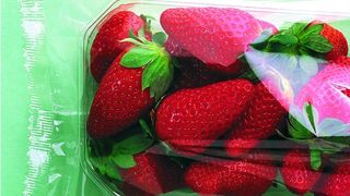 Die kristallklare Bioverpackung lässt Erdbeeren frisch aussehen und hält sie zudem länger frisch. Bild: Treofan (Archiv: Vogel Business Media)