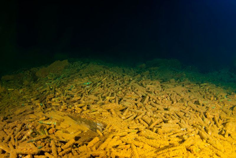 ... mit dramatischen Auswirkungen auf die Lebewesen im Meer. (Bild: drew-stock.adobe.com)