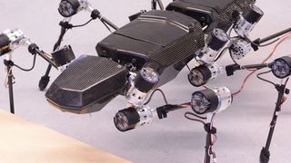 Der Laufroboter Hector machte Ende 2014 seine ersten Schritte. (Bild: Citec/Universität Bielefeld)