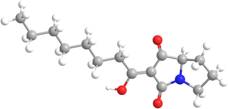 Molekülstruktur von Pyreudion A, einem der neu entdeckten Naturstoffe, die für Amöben giftig sind. (Pierre Stallforth/HKI)