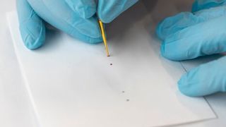 McMaster University's new Salmonella test indicates the presence of Salmonella by producing a red dot on test paper. (Source: Matthew Clarke, McMaster University)