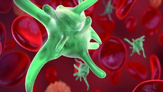 Abb.1: Mit verschiedenen diagnostischen Verfahren kann die Anzahl und die Funktion von Thrombozyten festgestellt werden. (Bild: Fotolia)