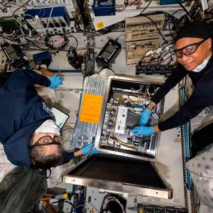 Am 21. August entnahmen die Astronauten Sunita Williams und Jeanette Epps die erste Probe aus dem Metall-3D-Drucker.(Bild:  Airbus)