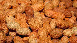 A new treatment could protect against peanut and other food allergies. (Source: Pixabay)