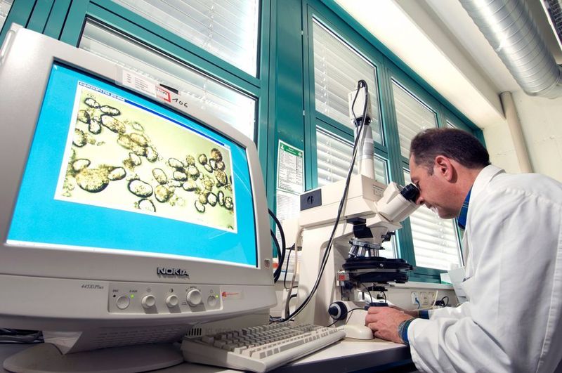 Blick in die Li-Materialentwicklung. (Bild: ZSW)