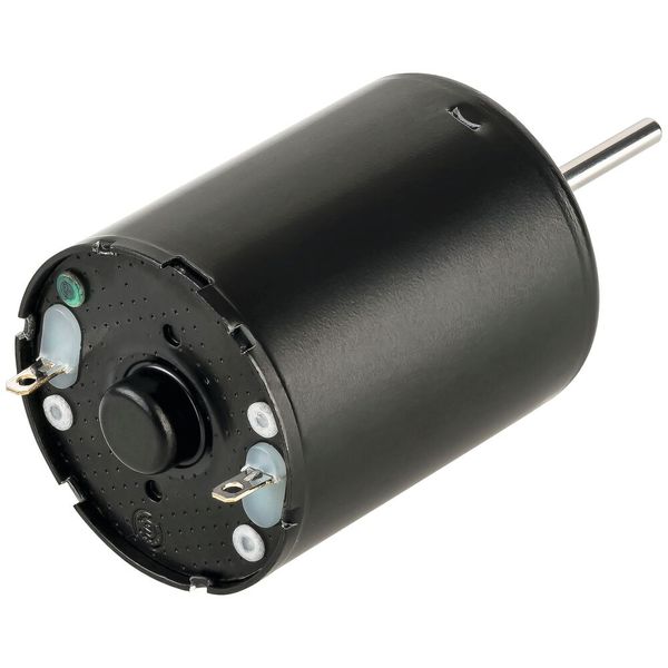 DC-Motor R370LL mit Betriebsspannungen 12V, 24V, 36V oder 48V – Rückansicht (Bild: xxx)