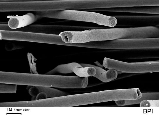 (Bild:  Universität Bayreuth)