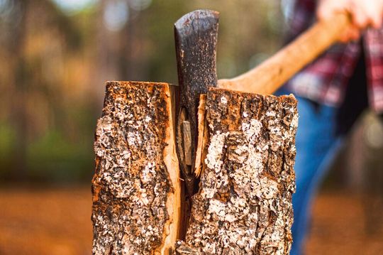 Statt mechanische Kraft nutzen Forscher flüssige Salze, um Holzfasern aufzuschließen (Symbolbild). Statt mechanische Kraft nutzen Forscher flüssige Salze, um Holzfasern aufzuschließen (Symbolbild).