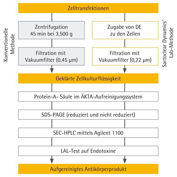 Abb. 2: Workflow des Downstream-Prozesses in der Produktion rekombinanter Antikörper bei Absolute Antibody.  (Absolute Antibody Ltd)