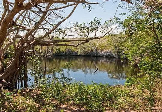 Eingang zu einer Cenote: Den Maya waren die Cenoten einst heilig, galten die Karsthöhlen doch als Eingang zur göttlichen Unterwelt. (Bild:  Björn M. von Reumont)
