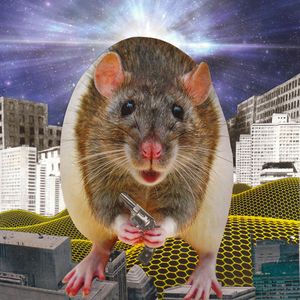 (© Laura Voss 2014)