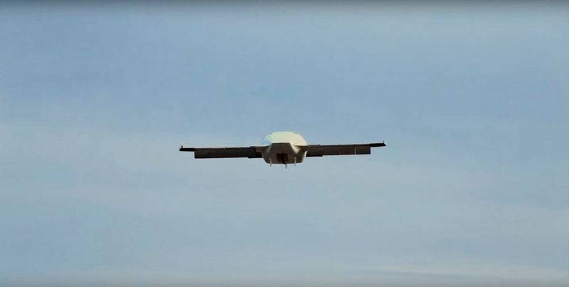 ... und höher. (Lilium)