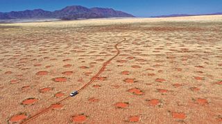 Drohnenaufnahme eines Autos im Namib-Rand-Naturreservat, eine der Feenkreisregionen in Namibia, wo die Forscher Gräser, Bodenfeuchte und Infiltration untersuchten (April 2022). (Bild: Dr. Stephan Getzin)