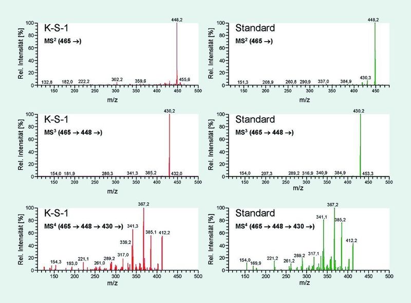 2		Vergleich der gemessenen Fragmentspektren (MS², MS³, MS4) der Probe K-S-1 bei 11,9 min mit denen des e-DMC-Standards bei 12,5 min. Die erste Fragmentierung entspricht einem Verlust von NH3 (MS2; m/z 465 nach m/z 448) und die zweite der Abspaltung von H2O (MS3; m/z 448 nach m/z 430). (Archiv: Vogel Business Media)