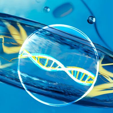 Marine bacteria are a significant reservoir of undiscovered chemical compounds that could be of interest to humans. Marine bacteria are a significant reservoir of undiscovered chemical compounds that could be of interest to humans.