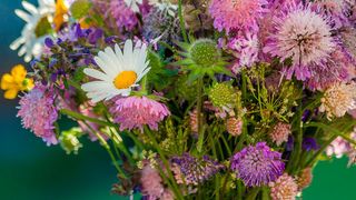 Jedes Unternehmen hat einen Blumenstrauß an Applikationen, die miteinander verbunden werden. (cmfotoworks - stock.adobe.com)