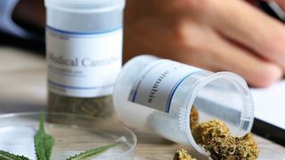 Abb. 1: In Deutschland ist medizinisches Cannabis seit dem 1. März 2017 verschreibungsfähig (©Africa Studio - stock.adobe.com)