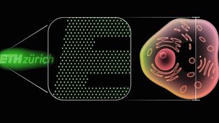 This ETH Zurich logo consists of 2,800 nano light-emitting diodes and, with a height of 20 micrometers, is approximately the size of a human cell. A single pixel measures around 0.2 micrometers. At this resolution, the following article could be printed about 2,000 times on the area of a period. (Image:Amanda Paganini / ETH Zurich)