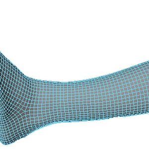 Digitalmodell eines Unterschenkels, erstellt mit dem 3D-Scanner Artec Eva.