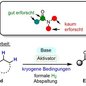(Maulide Gruppe/ Philipp Spieß)