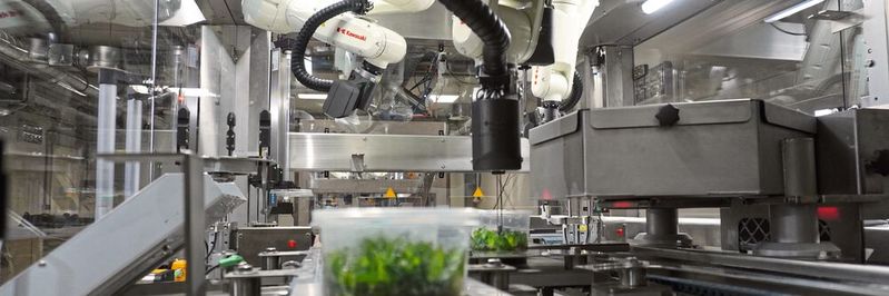 Vier präzise und schnelle Kawasaki-Roboter, High-end-Bilderfassung, ein Laser und eine leistungsstarke KI: Das Ro-Bo-Cut-System von Bock Bio Science revolutioniert die Pflanzenvermehrung. Vier präzise und schnelle Kawasaki-Roboter, High-end-Bilderfassung, ein Laser und eine leistungsstarke KI: Das Ro-Bo-Cut-System von Bock Bio Science revolutioniert die Pflanzenvermehrung.