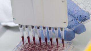 2019 stehen voraussichtlich 30 neue Medikamente für Patienten zur Verfügung. (Martin Joppen/ vfa)