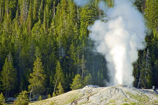 Heißes Wasser entweicht mit hohem Druck aus einem Geysir. Die hydrothermalen Bedingungen in unterirdischen Wasserkammern erlauben besondere chemische Reaktionen, die sonst nur mit schädlichen Lösemitteln im Labor gelängen. Heißes Wasser entweicht mit hohem Druck aus einem Geysir. Die hydrothermalen Bedingungen in unterirdischen Wasserkammern erlauben besondere chemische Reaktionen, die sonst nur mit schädlichen Lösemitteln im Labor gelängen.