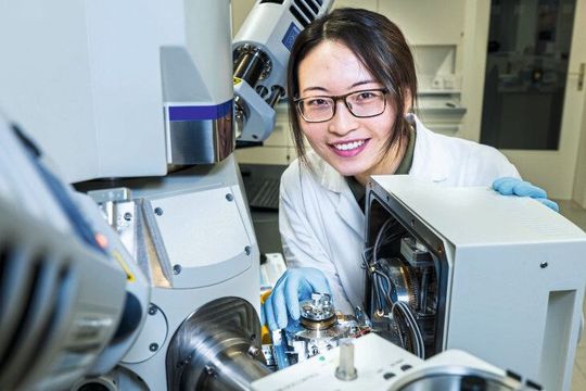 Der Nachweis der Membran-Nanostruktur erfolgte mittels Rasterelektronenmikroskopie. Der Nachweis der Membran-Nanostruktur erfolgte mittels Rasterelektronenmikroskopie.