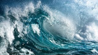 salzwasser-und--nebel (Lenord,
    Bauer & Co. GmbH)