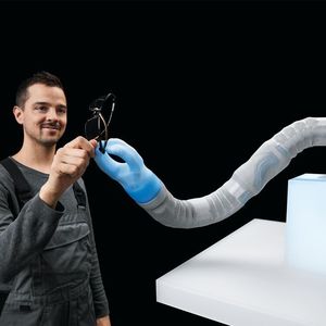 (2019 Ruediger J. Vogel/Festo)