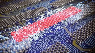 Gemeinsam mit einem internationalen Team an Forschenden haben Empa-Wissenschaftler erfolgreich einzelne atomar präzise Nanobänder mit Elektroden versehen. (Bild: Empa)