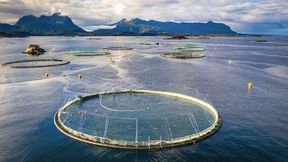 Abb. 1: PFAS können über die Umwelt und Lebensmittel auch in den menschlichen Köper gelangen. Gleichzeitig stellen PFAS aufgrund ihrer hohen Stabilität und Mobilität eine Herausforderung für die Umweltüberwachung dar. (Symbolbild) (Bild: © Stanislav - stock.adobe.com)