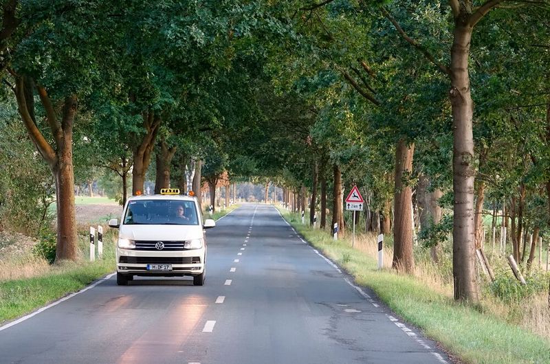 Bald ein seltener Anblick?(Bild:  Taxi Deutschland)