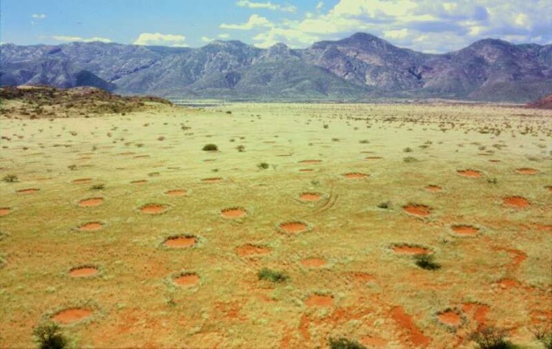 Feenkreise im Marienflusstal, Namibia (Wikipedia, Thorsten Becker)