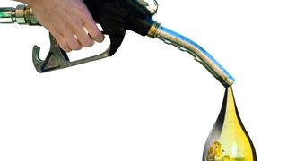  1  Biogene Materialien werden 
immmer häufiger als Ausgangsstoffe 
für die Herstellung von Kraftstoffen und Energieträgern eingesetzt. Bild: Archiv (Archiv: Vogel Business Media)