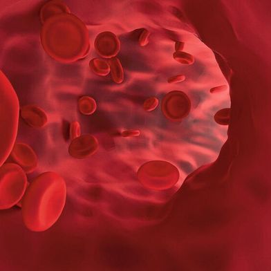 wider dem haarausfall sandelholzduft