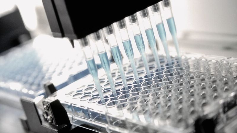 Escon 2 kommt überall dort zum Einsatz, wo höchste Dynamik und Präzision gefragt sind – etwa in Anlagen zur Laborautomation.(Bild:  DavidBGray/maxon)