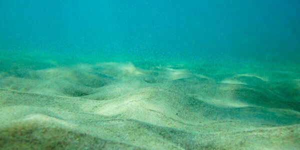 Der Großteil der Plastikverschmutzung liegt unsichtbar auf dem Meeresboden. Eine neue Monitoring-Technologie soll das aufdecken.(Bild:  gemeinfrei /  Pixabay)