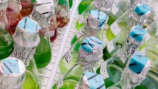 Algae cultivation is particularly challenging in the Nordic climate, where a low number of sunny days and cold winters are experienced each year. (Source: University of Turku)